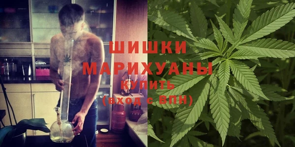 спайс Аркадак