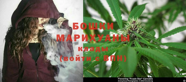 спайс Аркадак